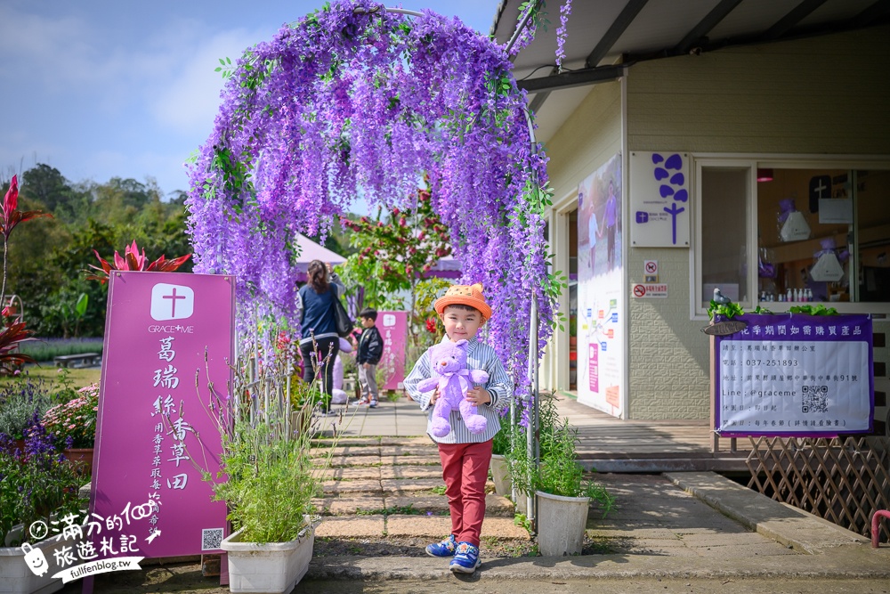 【2026葛瑞絲香草田薰衣草季】免門票全台最大7000坪薰衣草田,絕美紫衣花海~抵擋不住的紫色誘惑!