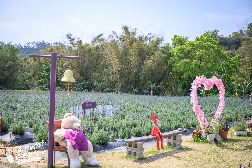 【2026葛瑞絲香草田薰衣草季】免門票全台最大7000坪薰衣草田,絕美紫衣花海~抵擋不住的紫色誘惑!