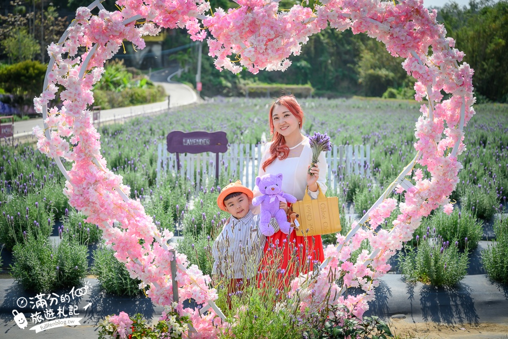 【2026葛瑞絲香草田薰衣草季】免門票全台最大7000坪薰衣草田,絕美紫衣花海~抵擋不住的紫色誘惑!