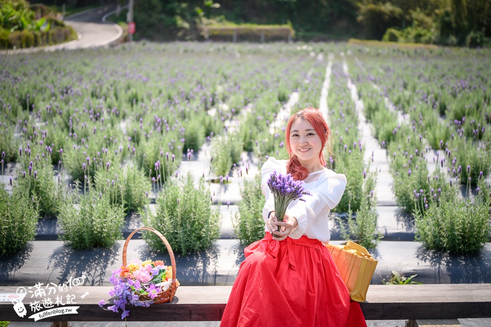 【2026葛瑞絲香草田薰衣草季】免門票全台最大7000坪薰衣草田,絕美紫衣花海~抵擋不住的紫色誘惑!