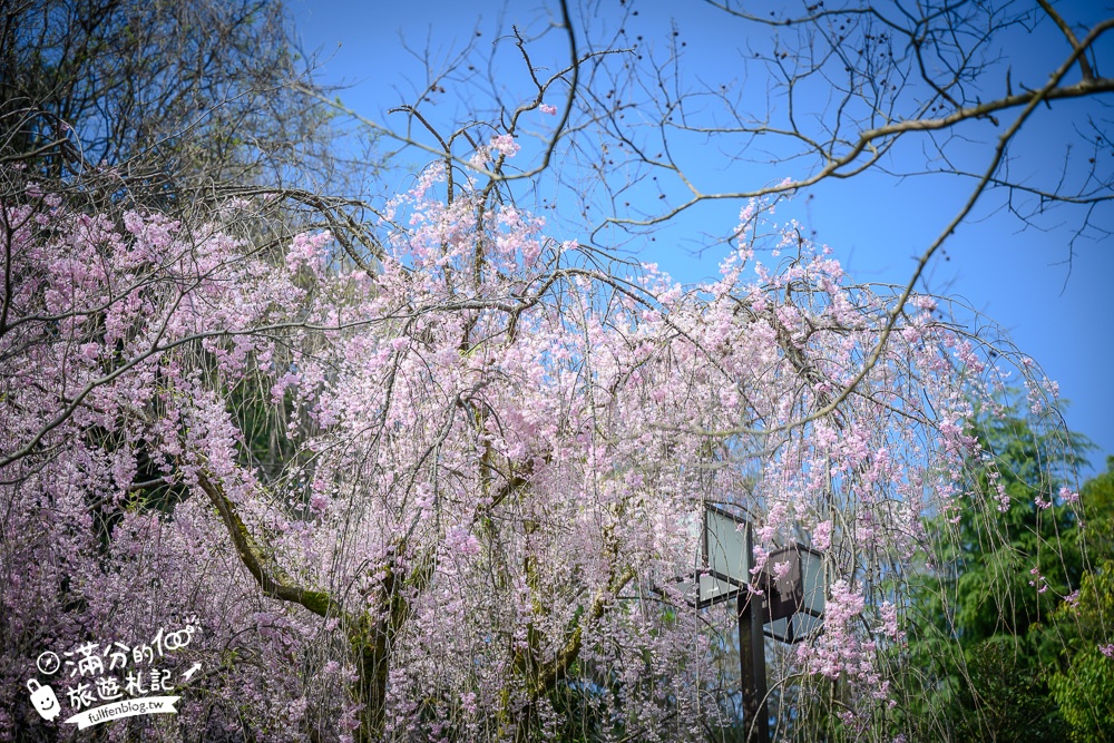 【金澤景點一日遊】TOP7金澤景點推薦,必逛金澤車站.東茶屋街.兼六園.近江町市場~金箔的故鄉玩樂攻略! 【金澤景點一日遊】TOP7金澤景點推薦,必逛金澤車站.東茶屋街.兼六園.近江町市場~金箔的故鄉玩樂攻略!