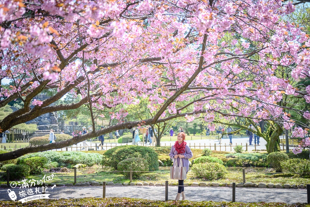 【金澤景點一日遊】TOP7金澤景點推薦,必逛金澤車站.東茶屋街.兼六園.近江町市場~金箔的故鄉玩樂攻略! 【金澤景點一日遊】TOP7金澤景點推薦,必逛金澤車站.東茶屋街.兼六園.近江町市場~金箔的故鄉玩樂攻略!