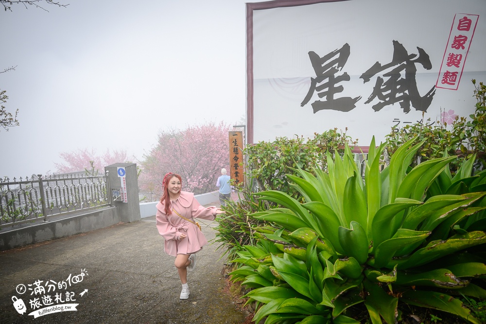 南投【星嵐拉麵】清境免門票浪漫櫻花林.賞櫻花.吃拉麵.望山嵐.視覺與味覺的雙重滿足!