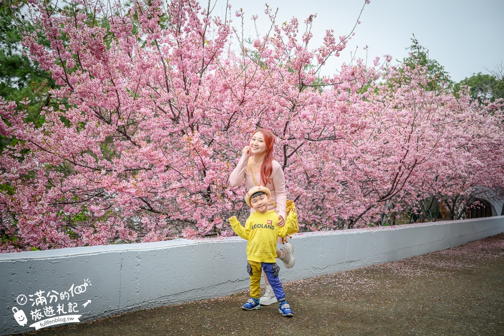 南投【星嵐拉麵】清境免門票浪漫櫻花林.賞櫻花.吃拉麵.望山嵐.視覺與味覺的雙重滿足!