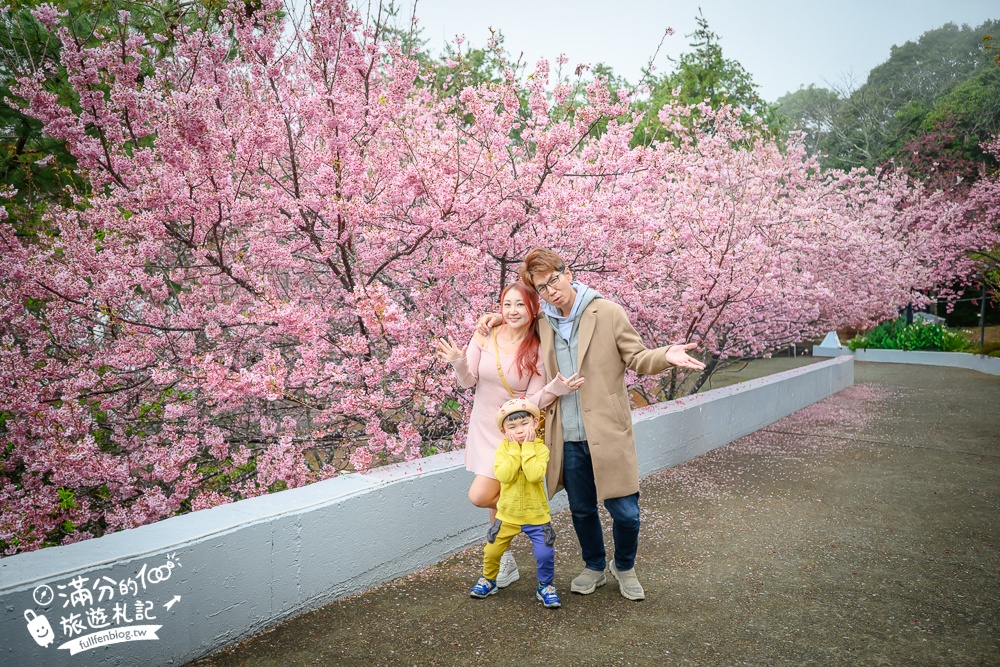 南投【星嵐拉麵】清境免門票浪漫櫻花林.賞櫻花.吃拉麵.望山嵐.視覺與味覺的雙重滿足!