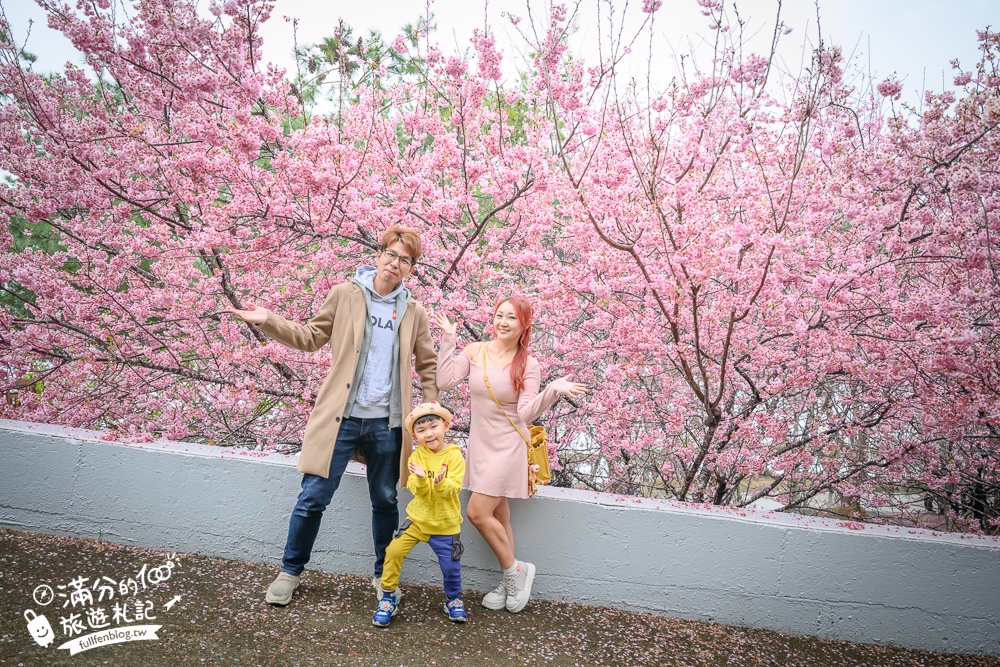 南投【星嵐拉麵】清境免門票浪漫櫻花林.賞櫻花.吃拉麵.望山嵐.視覺與味覺的雙重滿足!