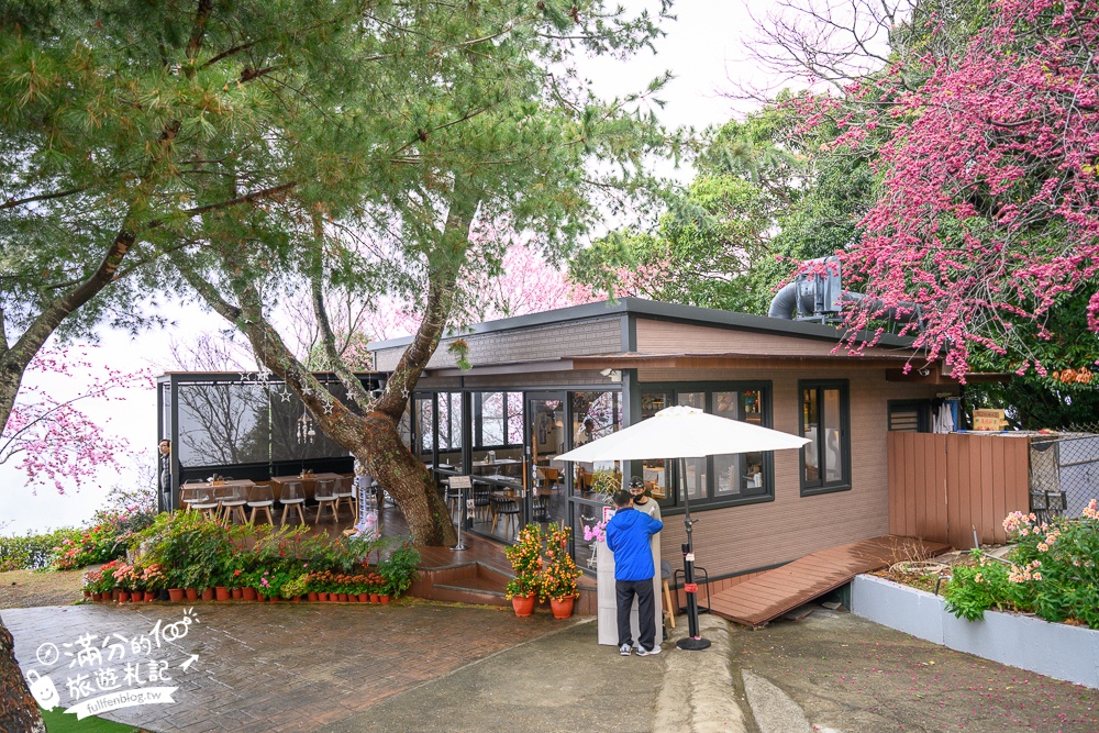 南投【星嵐拉麵】清境免門票浪漫櫻花林.賞櫻花.吃拉麵.望山嵐.視覺與味覺的雙重滿足!