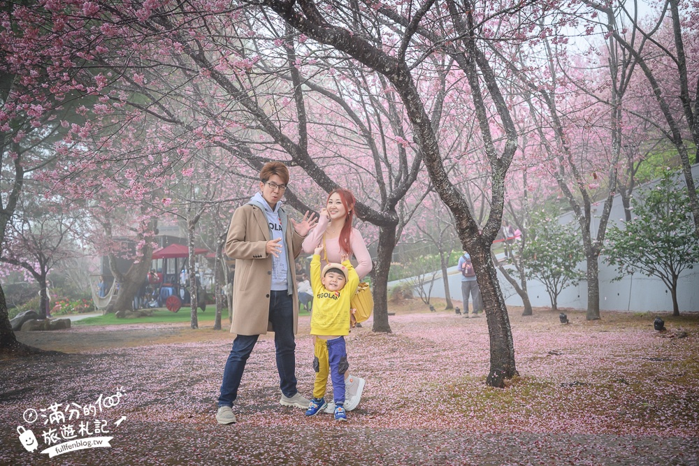 南投【星嵐拉麵】清境免門票浪漫櫻花林.賞櫻花.吃拉麵.望山嵐.視覺與味覺的雙重滿足!