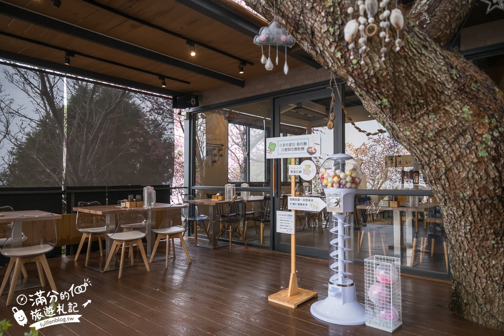 南投【星嵐拉麵】清境免門票浪漫櫻花林.賞櫻花.吃拉麵.望山嵐.視覺與味覺的雙重滿足!