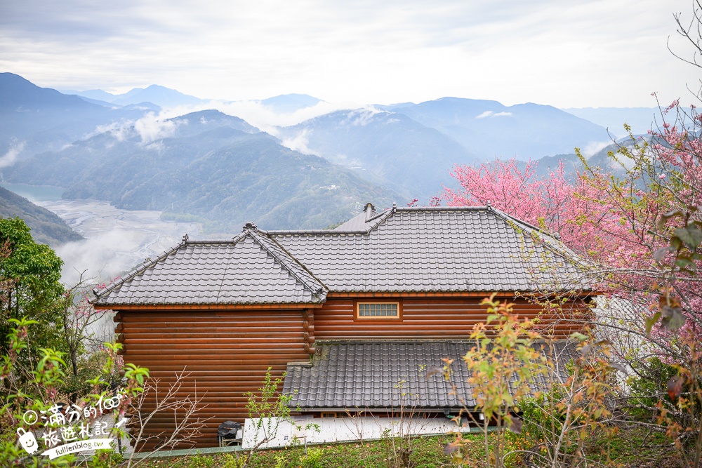 南投【星嵐拉麵】清境免門票浪漫櫻花林.賞櫻花.吃拉麵.望山嵐.視覺與味覺的雙重滿足!
