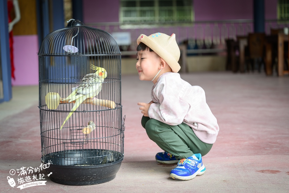 雲林新景點【有風的地方森林療癒咖啡】麝香木粉紅階梯超夢幻.賞花海.登大峽谷巨石,自然景觀好震撼! 雲林新景點【有風的地方森林療癒咖啡】麝香木粉紅階梯超夢幻.賞花海.登大峽谷巨石,自然景觀好震撼!