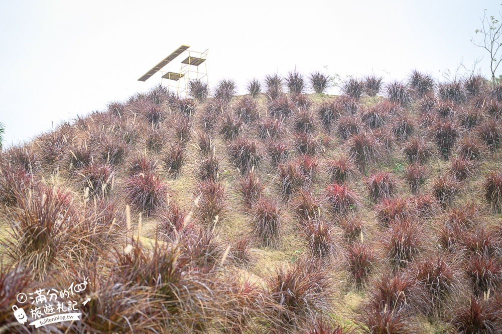 雲林新景點【有風的地方森林療癒咖啡】麝香木粉紅階梯超夢幻.賞花海.登大峽谷巨石,自然景觀好震撼! 雲林新景點【有風的地方森林療癒咖啡】麝香木粉紅階梯超夢幻.賞花海.登大峽谷巨石,自然景觀好震撼!
