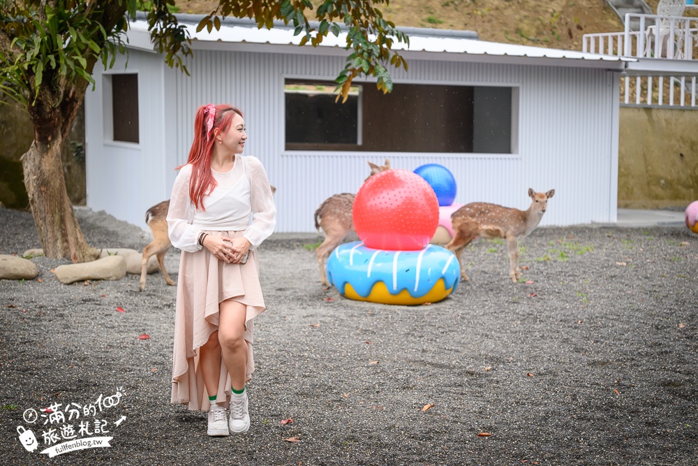 雲林新景點【有風的地方森林療癒咖啡】麝香木粉紅階梯超夢幻.賞花海.登大峽谷巨石,自然景觀好震撼! 雲林新景點【有風的地方森林療癒咖啡】麝香木粉紅階梯超夢幻.賞花海.登大峽谷巨石,自然景觀好震撼!