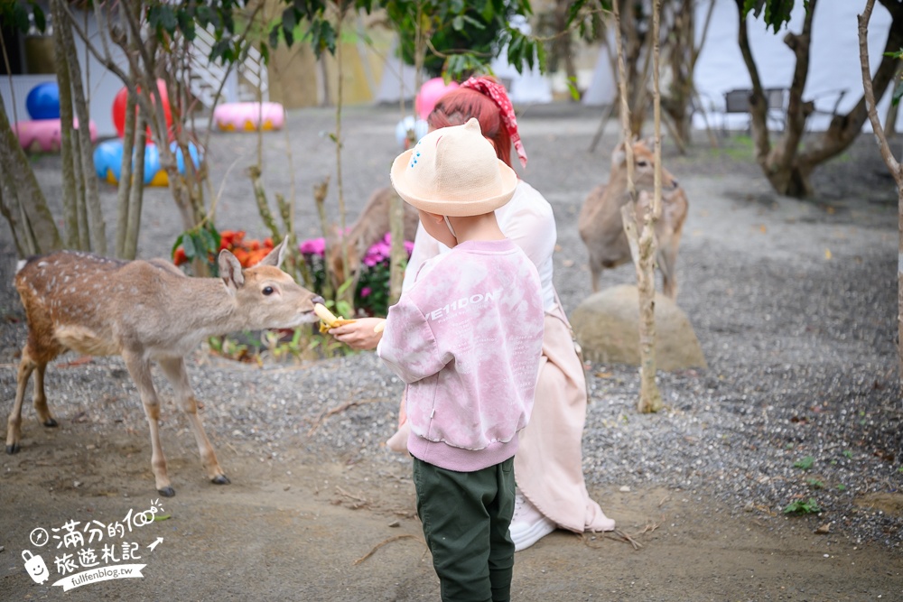 雲林新景點【有風的地方森林療癒咖啡】麝香木粉紅階梯超夢幻.賞花海.登大峽谷巨石,自然景觀好震撼! 雲林新景點【有風的地方森林療癒咖啡】麝香木粉紅階梯超夢幻.賞花海.登大峽谷巨石,自然景觀好震撼!