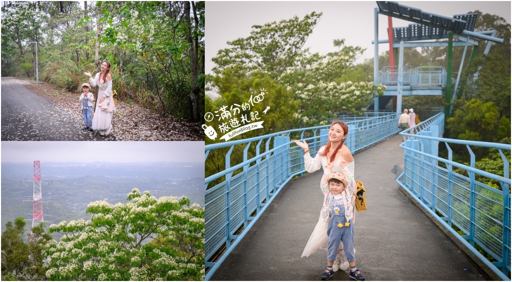 延伸閱讀：苗栗銅鑼【九華山天空步道】全台最高自行車道,銅鑼賞桐天空步道.登上雲端賞桐趣~苗栗浪漫桐花雪秘境