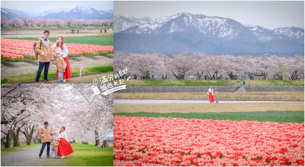 期間限定！朝日町「春の四重奏」交通教學,一次收集四種春色，帶你拍出夢幻美景大片! @滿分的旅遊札記