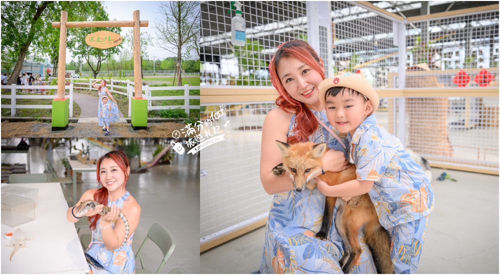 宜蘭【遛遛三星】全台唯一白狐狸主題農場,與白狐狸＆赤狐互動.還能玩鹿角蕨手作.當小小農夫和爬蟲偵查員,太好玩啦! @滿分的旅遊札記