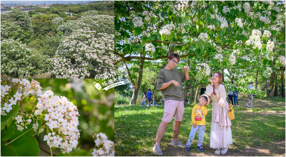 延伸閱讀：【桃園甘家堡桐花步道】私人桐花莊園開放,不用爬山也能看滿片四月雪,遼闊大草原.親子野餐首選！