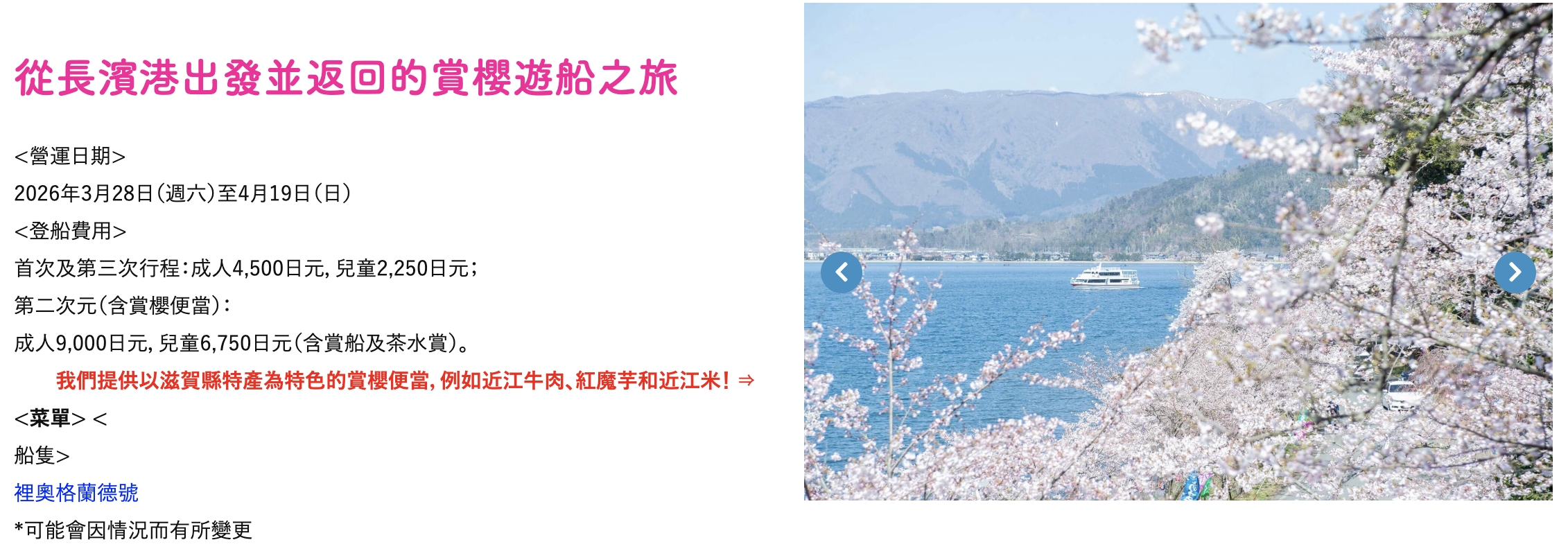 【2026海津大崎櫻花季】日本櫻花名勝100選,滋賀琵琶湖綿延四公里的湖岸櫻花,搭郵輪賞櫻花超特別!