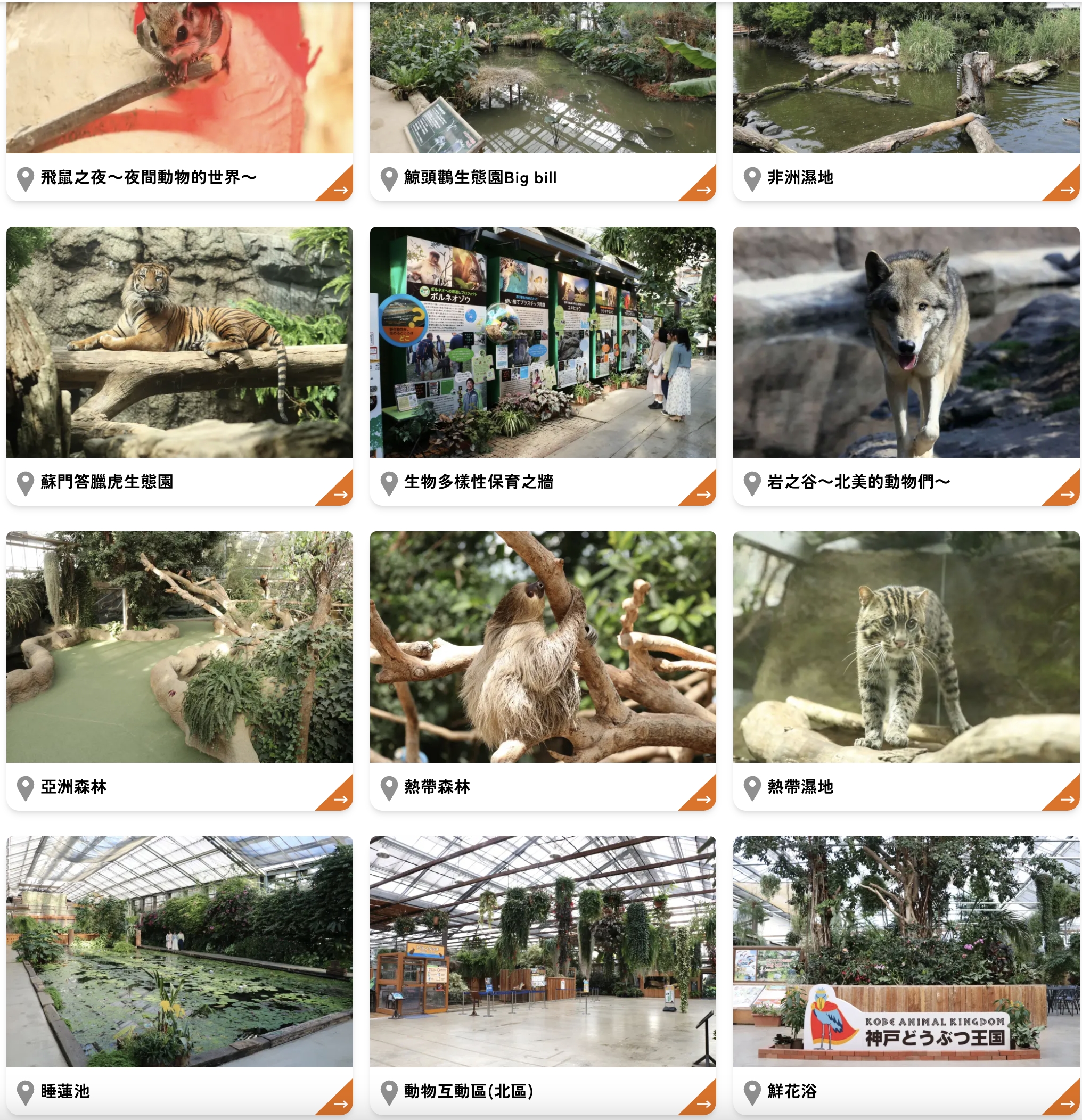 【神戶動物王國】大人小孩都瘋狂！親子推車友善溫室動物園.必體驗騎駱駝.騎馬.零距離餵食的動物天堂!