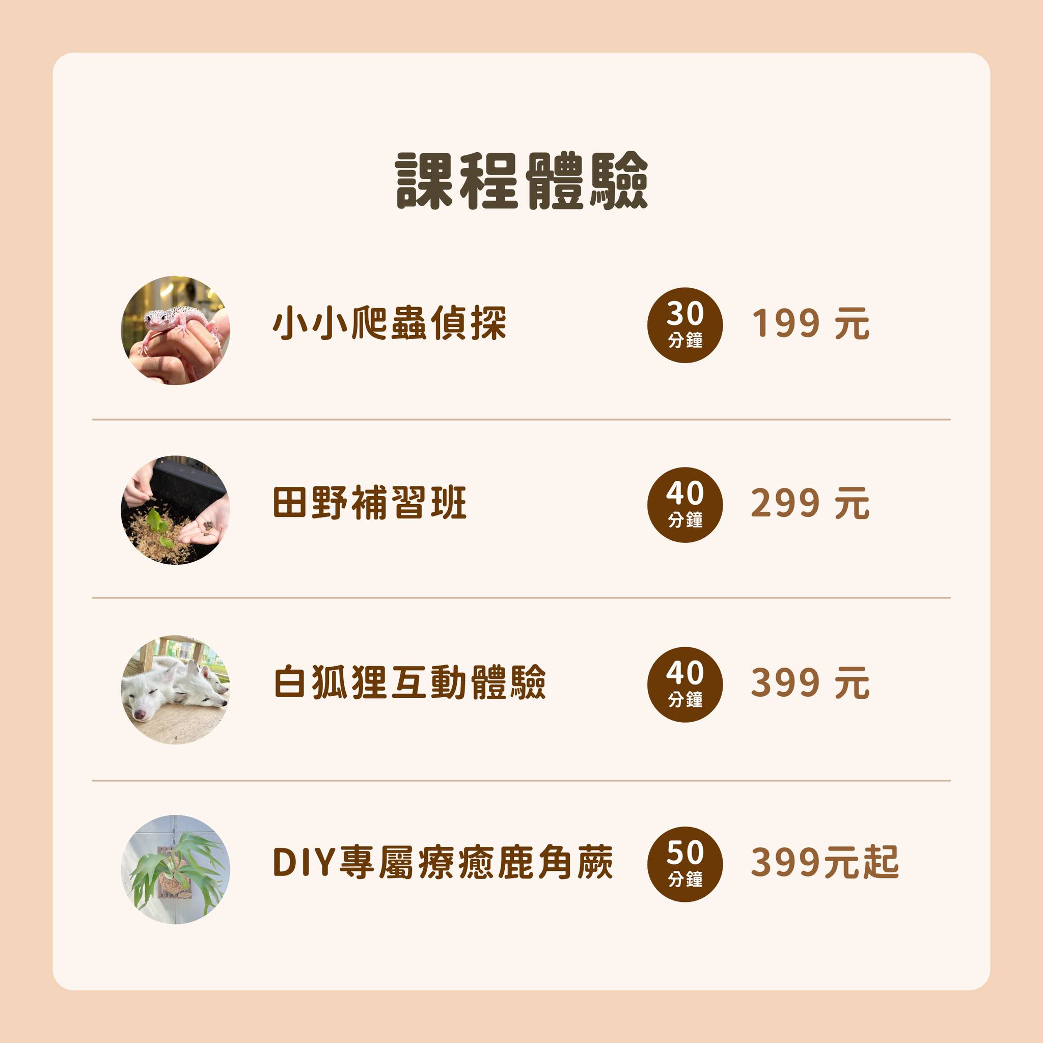 宜蘭【遛遛三星】全台唯一白狐狸主題農場,與白狐狸＆赤狐互動.還能玩鹿角蕨手作.當小小農夫和爬蟲偵查員,太好玩啦!