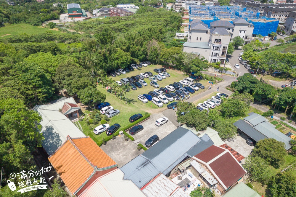 【桃園甘家堡桐花步道】私人桐花莊園開放,不用爬山也能看滿片四月雪,遼闊大草原.親子野餐首選！