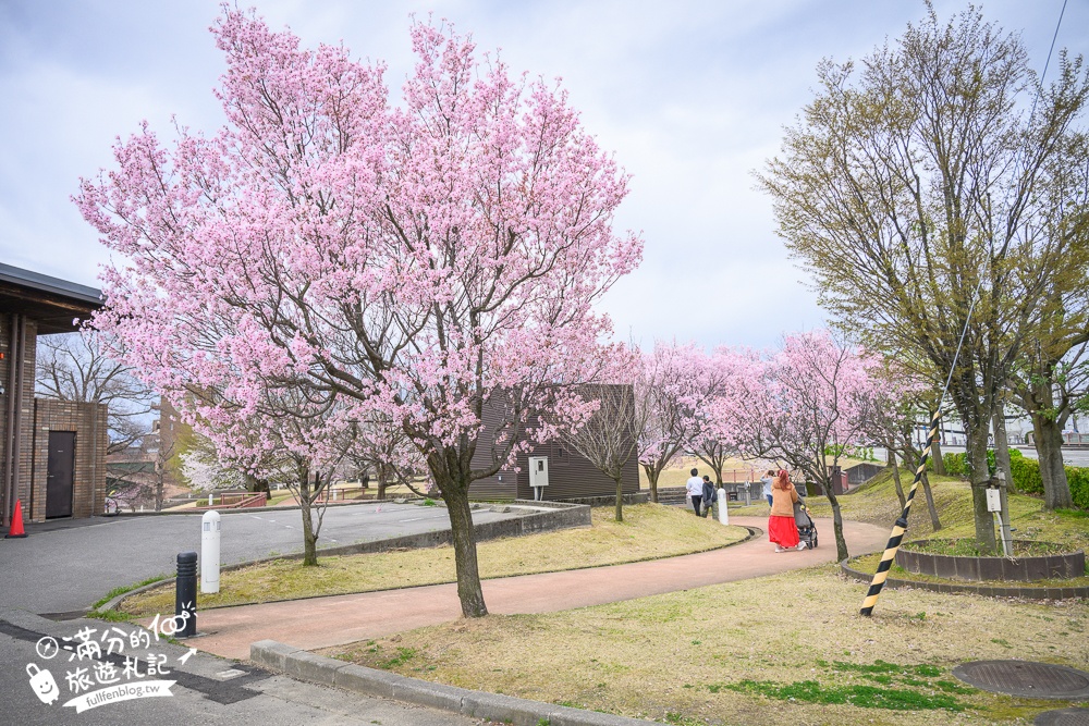 富山景點【星巴克富山環水公園店】世界最美星巴克！富岩運河環水公園全攻略,交通.櫻花季&必拍角度分享!