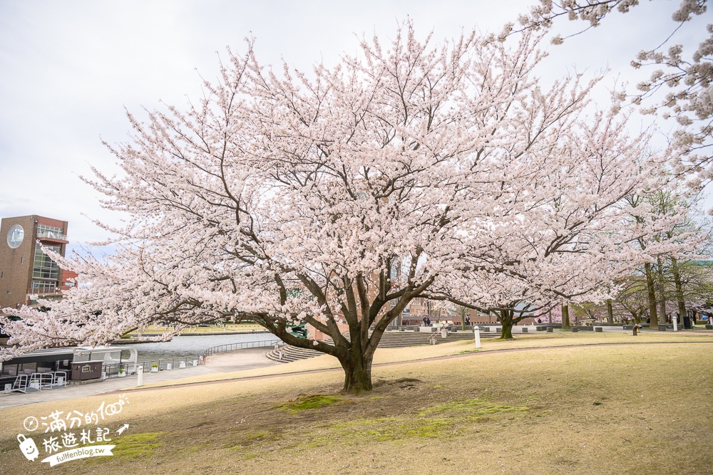 富山景點【星巴克富山環水公園店】世界最美星巴克！富岩運河環水公園全攻略,交通.櫻花季&必拍角度分享!