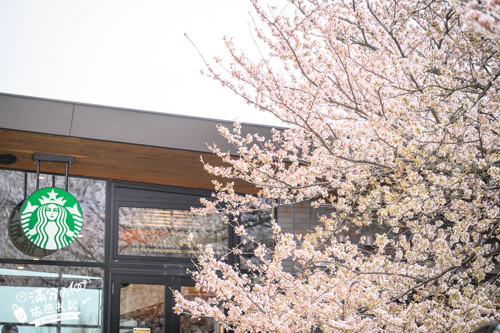 富山景點【星巴克富山環水公園店】世界最美星巴克！富岩運河環水公園全攻略,交通.櫻花季&必拍角度分享!