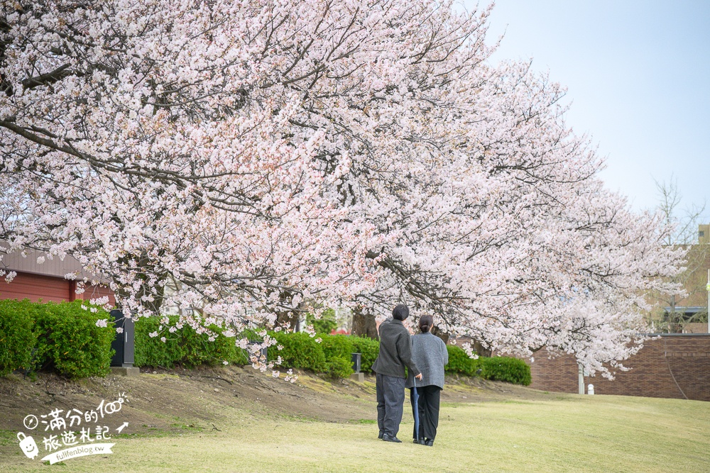 富山景點【星巴克富山環水公園店】世界最美星巴克！富岩運河環水公園全攻略,交通.櫻花季&必拍角度分享!