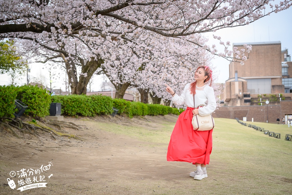 富山景點【星巴克富山環水公園店】世界最美星巴克！富岩運河環水公園全攻略,交通.櫻花季&必拍角度分享!