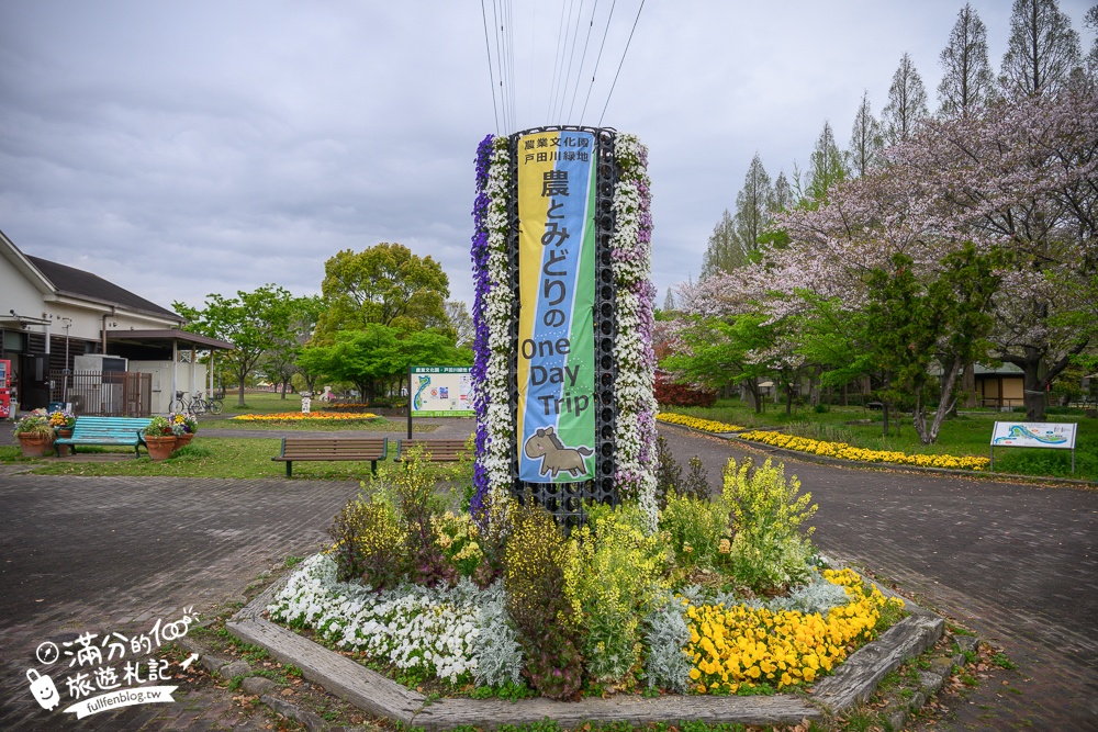名古屋親子景點【戶田川綠地公園】免門票入園.必體驗賞櫻高空腳踏車.滾輪溜滑梯.遊戲場通通免費玩!