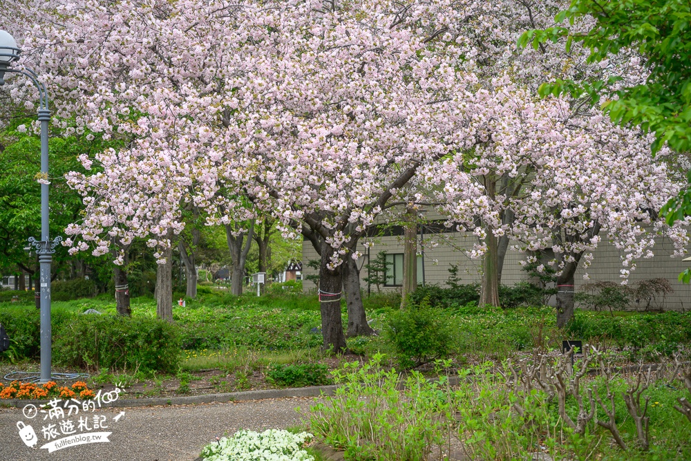 名古屋親子景點【戶田川綠地公園】免門票入園.必體驗賞櫻高空腳踏車.滾輪溜滑梯.遊戲場通通免費玩!
