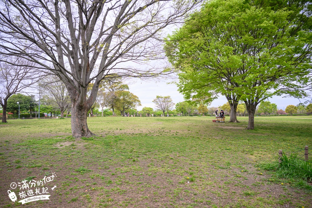 名古屋親子景點【戶田川綠地公園】免門票入園.必體驗賞櫻高空腳踏車.滾輪溜滑梯.遊戲場通通免費玩!