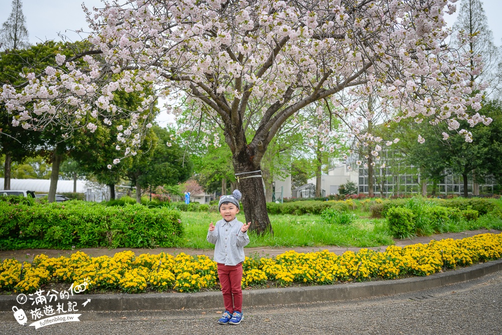 名古屋親子景點【戶田川綠地公園】免門票入園.必體驗賞櫻高空腳踏車.滾輪溜滑梯.遊戲場通通免費玩!