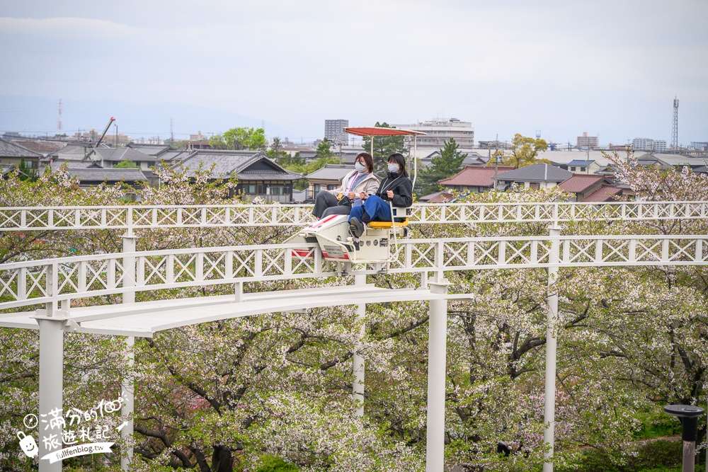名古屋親子景點【戶田川綠地公園】免門票入園.必體驗賞櫻高空腳踏車.滾輪溜滑梯.遊戲場通通免費玩!