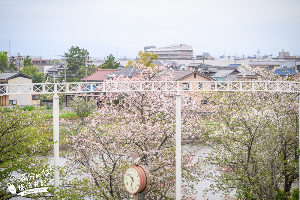 名古屋親子景點【戶田川綠地公園】免門票入園.必體驗賞櫻高空腳踏車.滾輪溜滑梯.遊戲場通通免費玩!