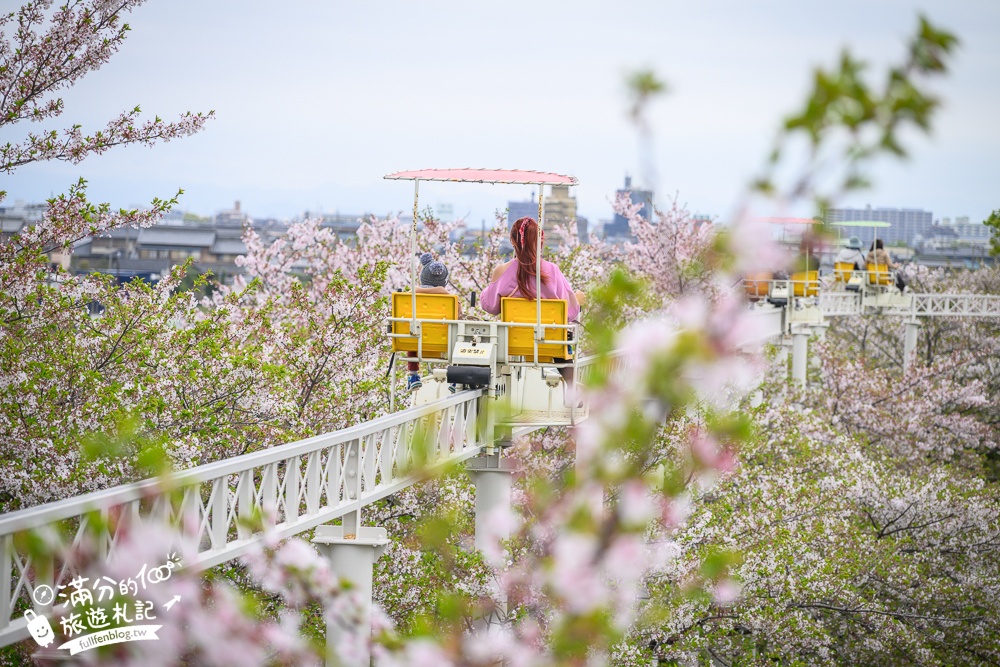 名古屋親子景點【戶田川綠地公園】免門票入園.必體驗賞櫻高空腳踏車.滾輪溜滑梯.遊戲場通通免費玩!