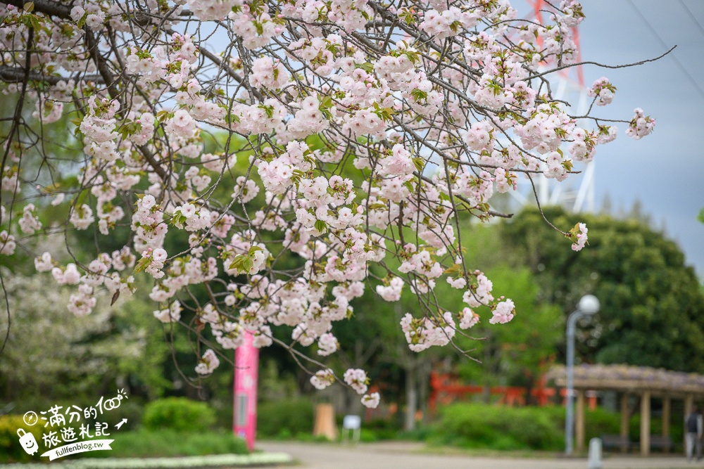 名古屋親子景點【戶田川綠地公園】免門票入園.必體驗賞櫻高空腳踏車.滾輪溜滑梯.遊戲場通通免費玩!