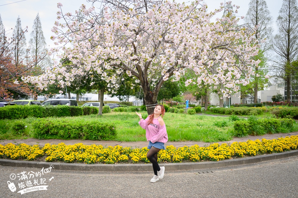 名古屋親子景點【戶田川綠地公園】免門票入園.必體驗賞櫻高空腳踏車.滾輪溜滑梯.遊戲場通通免費玩!