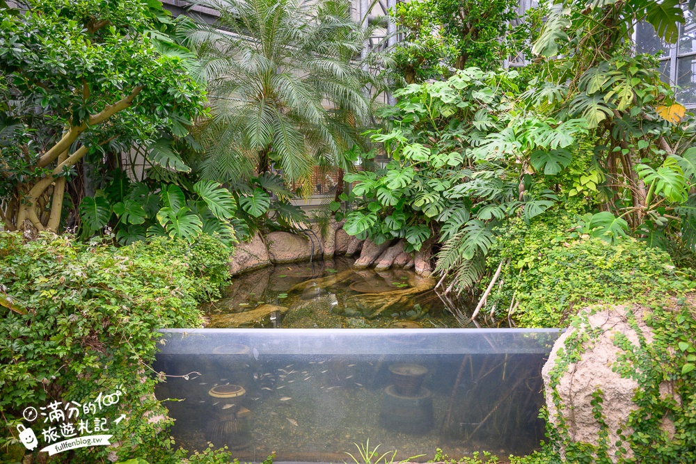 名古屋親子景點【戶田川綠地公園】免門票入園.必體驗賞櫻高空腳踏車.滾輪溜滑梯.遊戲場通通免費玩!