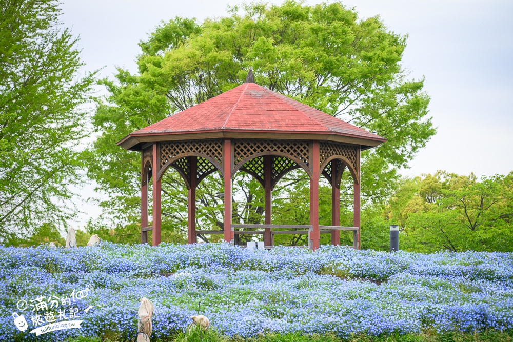 名古屋親子景點【戶田川綠地公園】免門票入園.必體驗賞櫻高空腳踏車.滾輪溜滑梯.遊戲場通通免費玩!