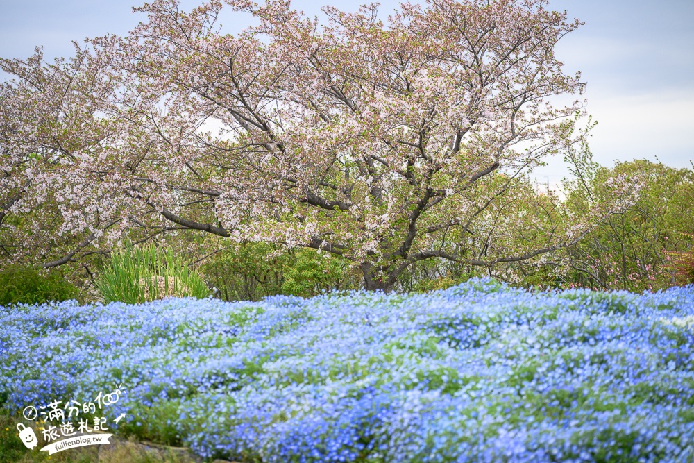 名古屋親子景點【戶田川綠地公園】免門票入園.必體驗賞櫻高空腳踏車.滾輪溜滑梯.遊戲場通通免費玩!