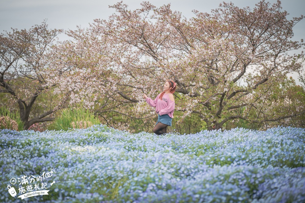 名古屋親子景點【戶田川綠地公園】免門票入園.必體驗賞櫻高空腳踏車.滾輪溜滑梯.遊戲場通通免費玩!
