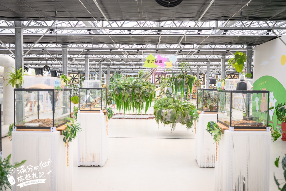 宜蘭【遛遛三星】全台唯一白狐狸主題農場,與白狐狸＆赤狐互動.還能玩鹿角蕨手作.當小小農夫和爬蟲偵查員,太好玩啦!