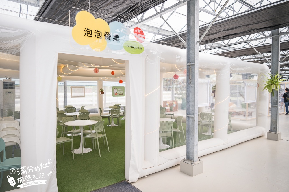 宜蘭【遛遛三星】全台唯一白狐狸主題農場,與白狐狸＆赤狐互動.還能玩鹿角蕨手作.當小小農夫和爬蟲偵查員,太好玩啦!