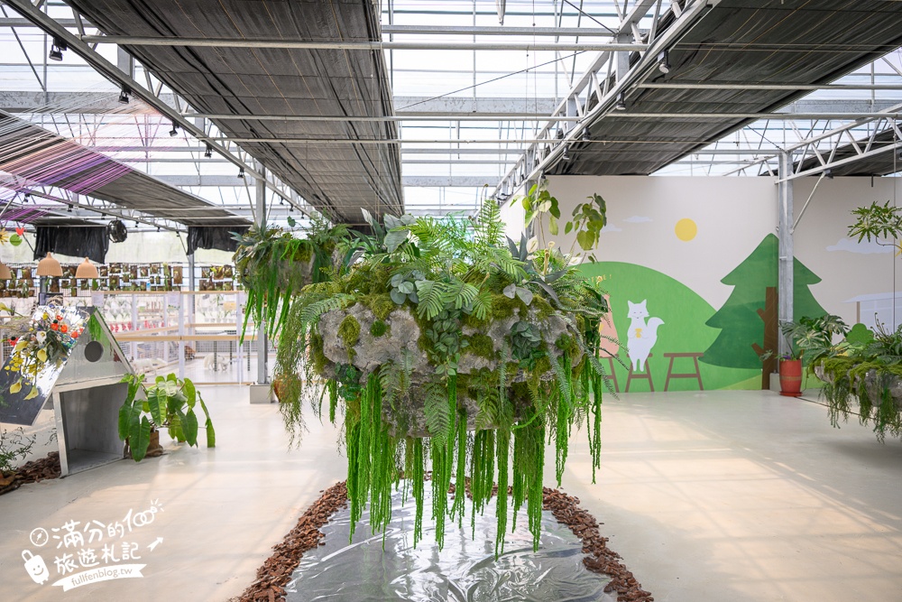 宜蘭【遛遛三星】全台唯一白狐狸主題農場,與白狐狸＆赤狐互動.還能玩鹿角蕨手作.當小小農夫和爬蟲偵查員,太好玩啦!