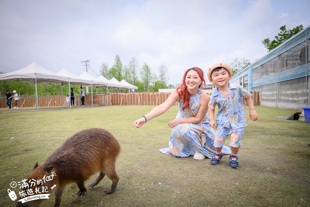 宜蘭【遛遛三星】全台唯一白狐狸主題農場,與白狐狸＆赤狐互動.還能玩鹿角蕨手作.當小小農夫和爬蟲偵查員,太好玩啦!