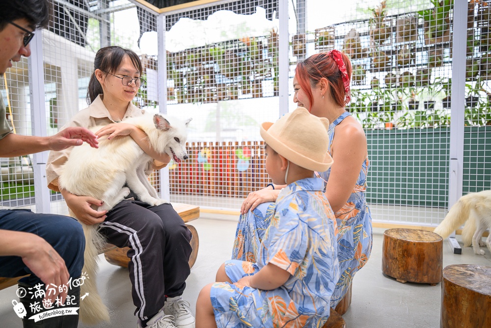 宜蘭【遛遛三星】全台唯一白狐狸主題農場,與白狐狸＆赤狐互動.還能玩鹿角蕨手作.當小小農夫和爬蟲偵查員,太好玩啦!