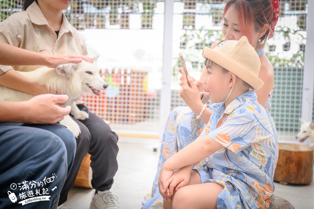 宜蘭【遛遛三星】全台唯一白狐狸主題農場,與白狐狸＆赤狐互動.還能玩鹿角蕨手作.當小小農夫和爬蟲偵查員,太好玩啦!